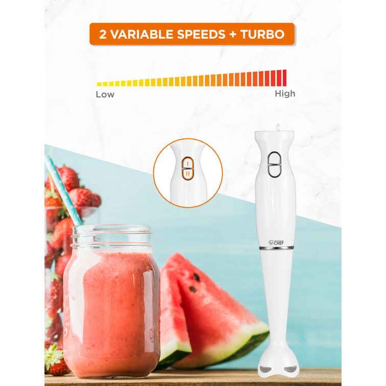 CT-Ib350CV Variable Speed Commercial Food Immersion Blender - China Food  Blender and Hand Blender price