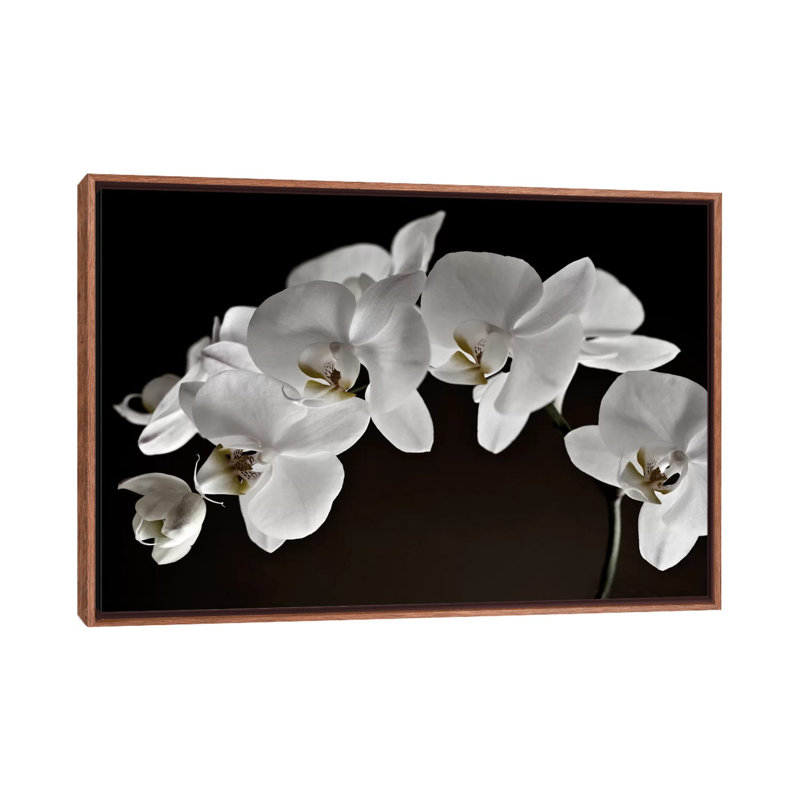 Orchidées - reproduction de photo, Toile avec cadre en bois classique, H 40 po x l 60 po x 1,5 po