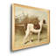 Pointer - Cadre photo, reproduction d'art sur toile-111873009-111873022