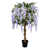 Lilac selected