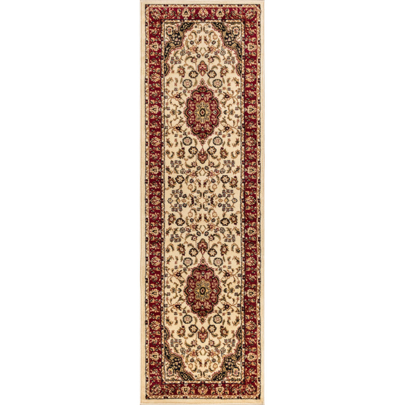Cialan Washable Oriental Indoor Rug, Runner 2'7" x 9'1