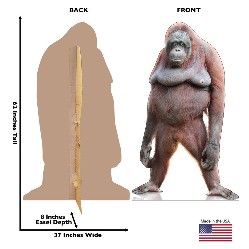 Orangutan