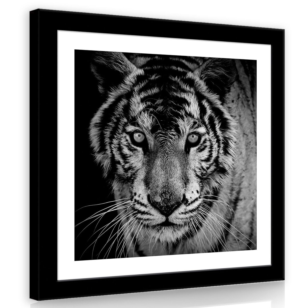 Leinwandbild Tiger in Schwarz/Weiß/Grau