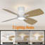 Ventilateur de plafond 42 pouces avec lumière et télécommande-1664582817