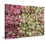 Reproduction d’art sur toile tendue « roses en rose » par jody stuart-17215257