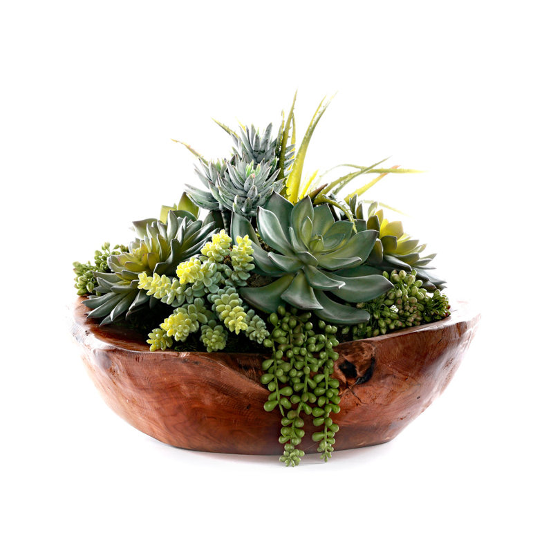 Faux Succulent Plant