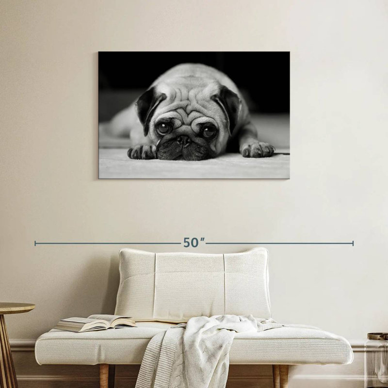 Brampt Sad Pug, 24" H x 36" W