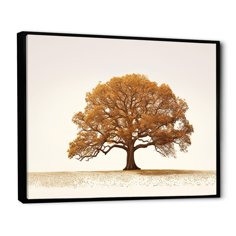 «Brown Essence Of Oak Tree I», reproduction sur toile, Cadre flottant noir, H 34 po x l 44 po x P 1,5 po