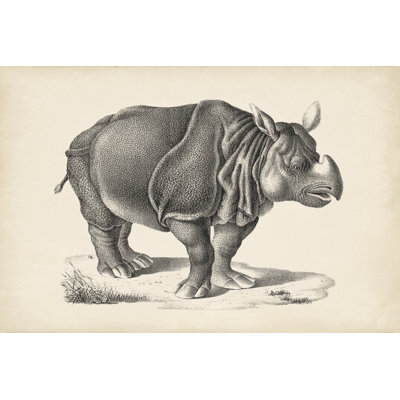 Brodtmann Rhinoceros by Brodtmann - Wrapped Canvas Painting