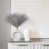 Haute Gray