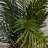 Thisbe 60'' Faux Palm Tree in Pot
