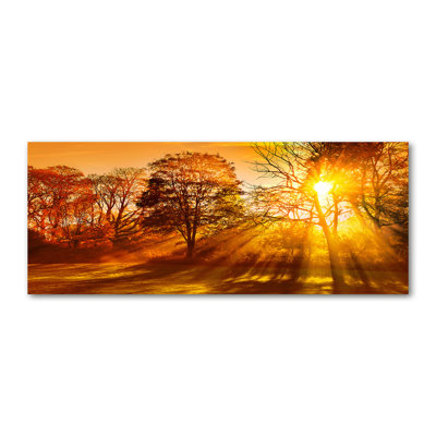 Sunset 1 Piece Wall Art