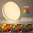 Deontee 14.96'' Fabric Modern Dimmable Flush Mount Lighting