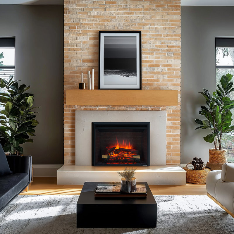Ayame Electric Fireplace Insert with Fire Crackling Sound, Remote Control, 750/1500W, Black, 29 59/64 Inches Wide, 23 3/16 Inches High