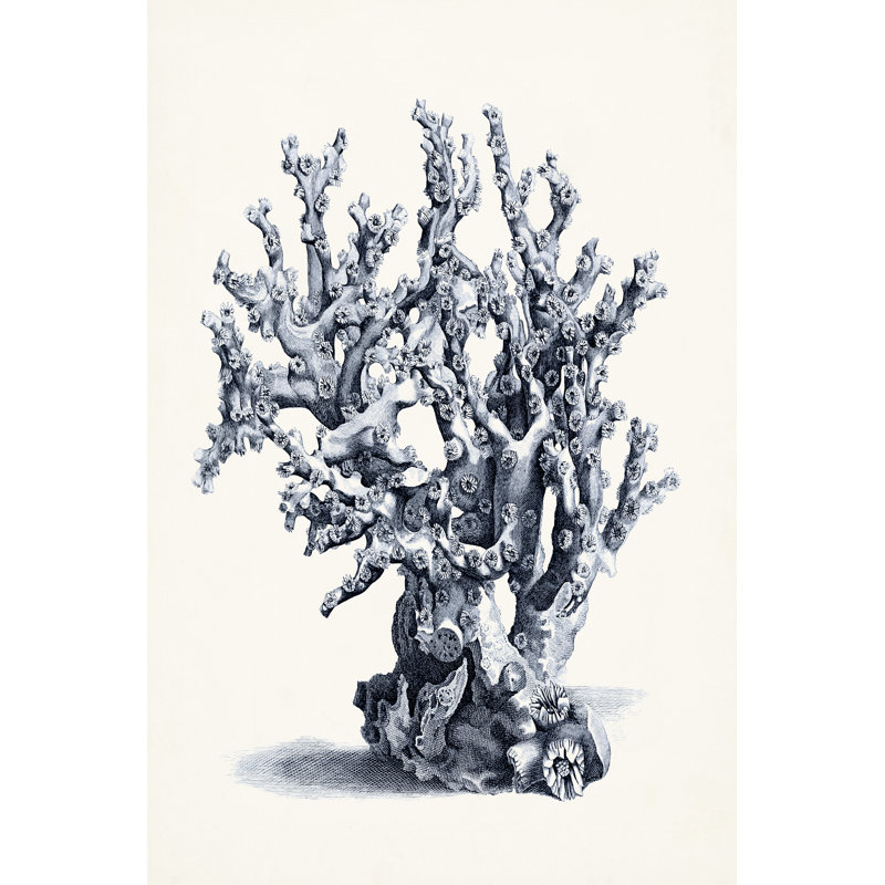 Bleu antique corail II, H 36 po x l 24 po x P 1,25 po