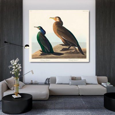Audubon, John James Gallery Wrapped Canvas Art: Violet, green Cormorant and Townsends Cormorant