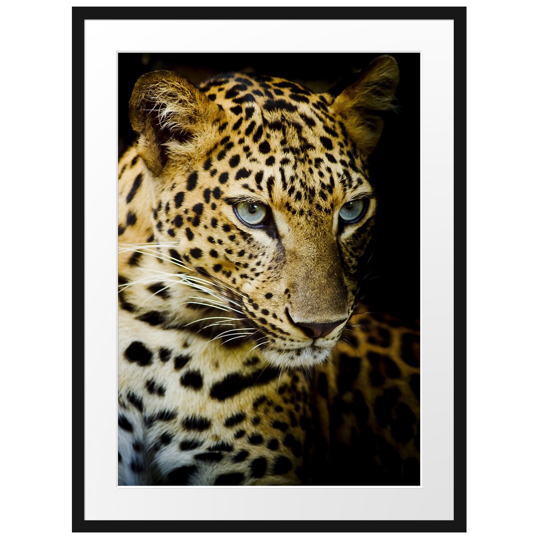 Gerahmtes Poster Leopard mit blauen Augen