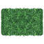 Herbe
