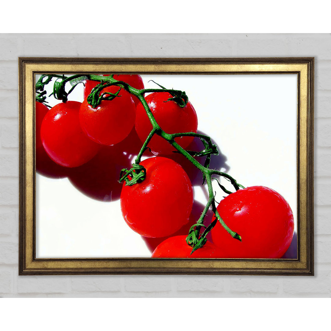 Red Cherry Tomato Vine - Einzelner Bilderrahmen Kunstdrucke