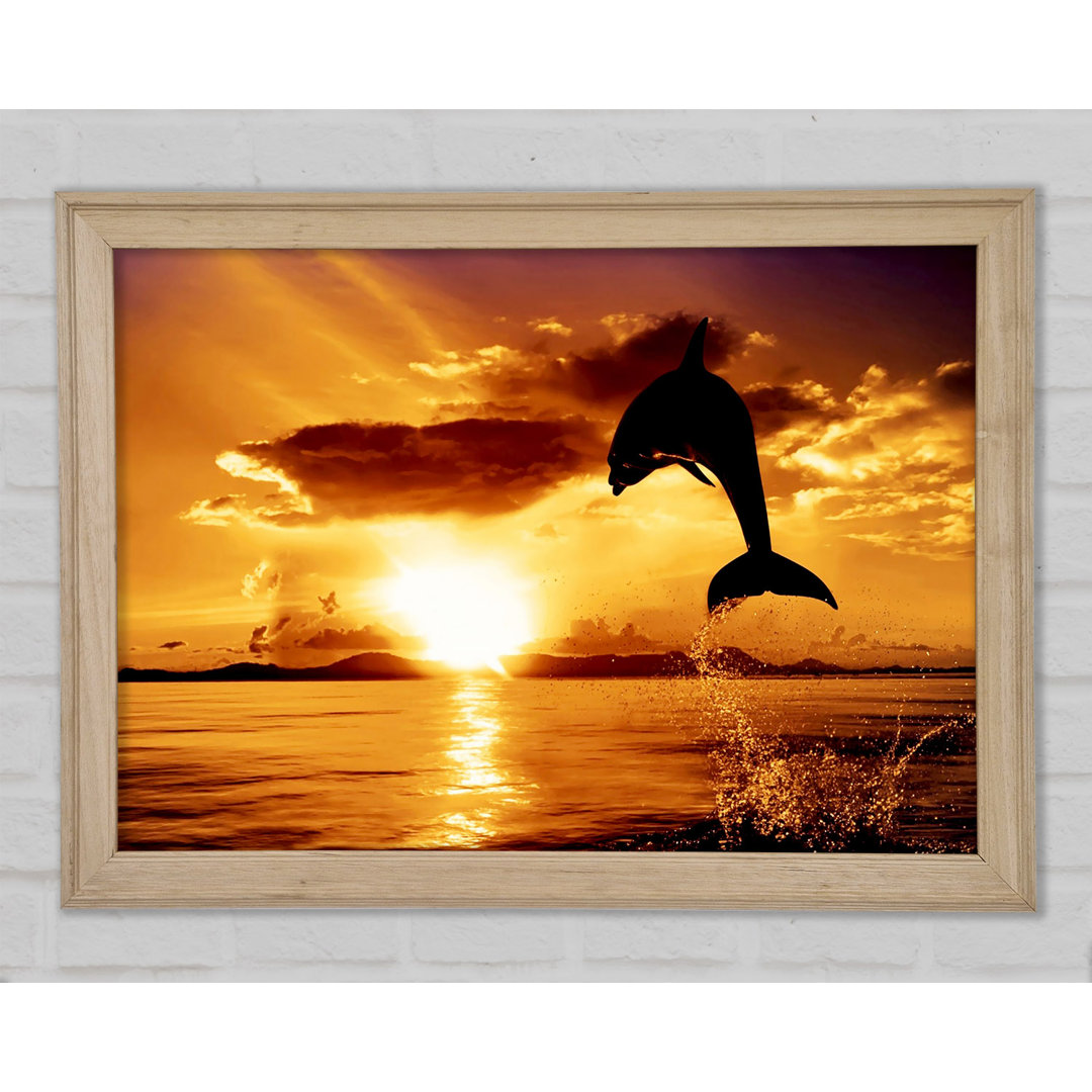 Gerahmtes Bild Dolphin Sunset