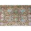 Oriental Area Rug in Camel-64621126