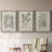 " Antique Black And White Botanical VII " 3 - Pieces-408395200-408395206