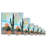 " Saguaro Sunshine "-895454692