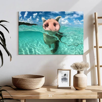 Cochon sauvage nageant Brampt