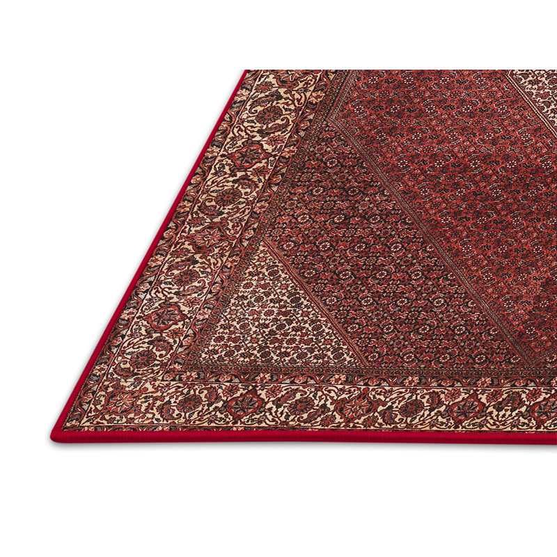 Depelteau Oriental Indoor Rug, Rectangle 5' x 7'
