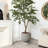16.7'' H Urn Planter with Pedestal Base, Textured Indoor Outdoor Flower Pot with Drainage Hole