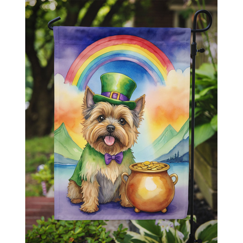 Drapeau de jardin double face en polyester H 15,5 po x l 11,25 po St Patrick's Day