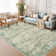 Distressed Abstract Non Slip Washable Area Rug(5'X7', Green)