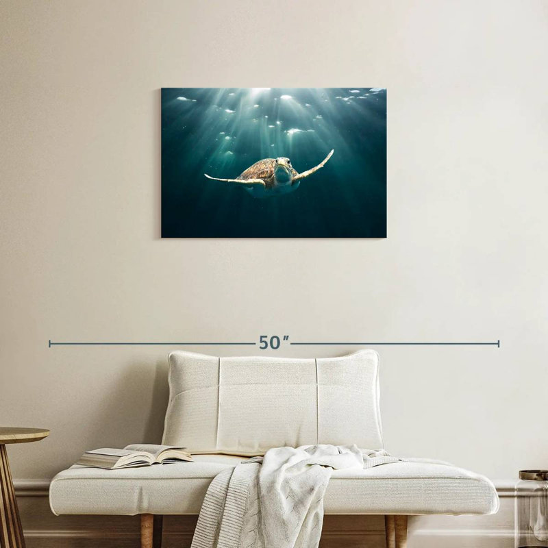 Brampt Red Sea Green Turtle, 20'' H X 30'' W