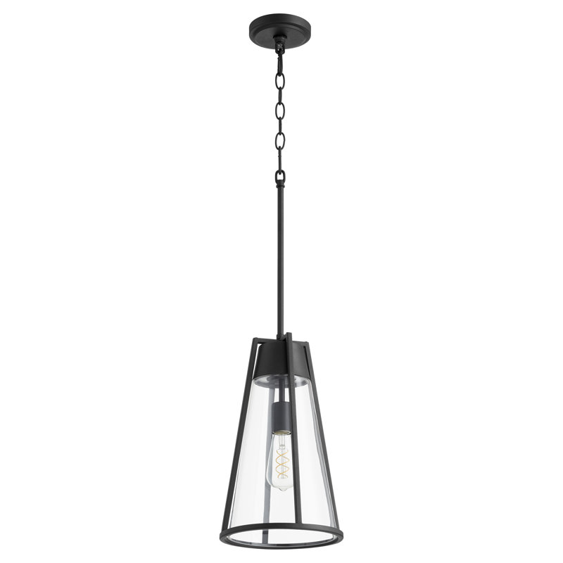 Aime 1 - Light Single Pendant, Noir, 19" H x 11" W x 11" D