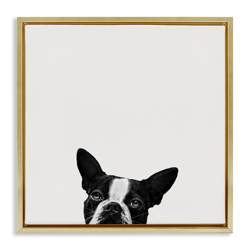 «Dog Peeking From Under Floater», art mural sur toile par Jon Bertelli pwp-207, H 18 po x l 18 po