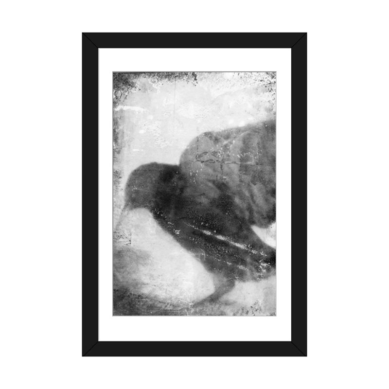«B&W Flight V», reproduction sur toile, H 32 po x l 24 po x P 1 po, Papier d'art encadré noir, Blanc