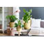 Pot Planter-69444365-69444366