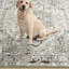 Tapis ivoire Amareon-450383339