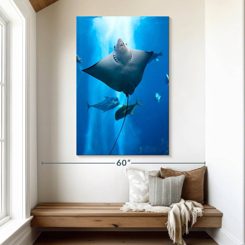 Brampt Manta Ray, 51" H x 34" W