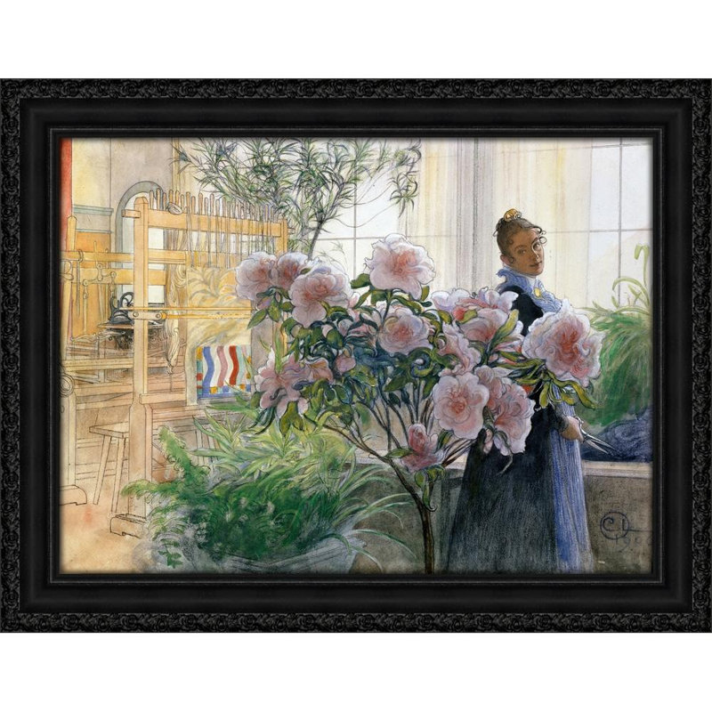 Azalea (1906), 19" H x 24" W