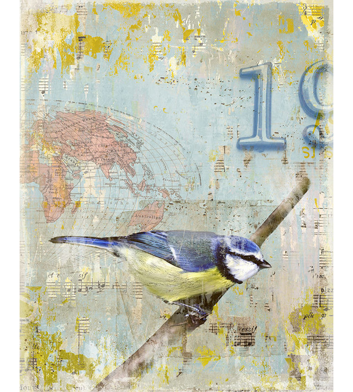 Aves 19 Print by Zoey Riley, Glass Coat, 20" H x 16" W