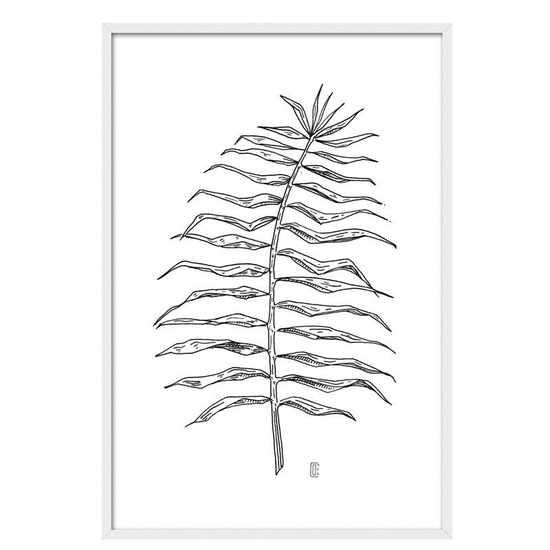 Nature Planta Tinta III by César Ortiz Echagüe - Single Picture Frame Painting, 60cm H x 40cm W x 3cm D