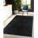 Feather Talisha Black Area Rug