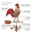 Girouette coq-71121417
