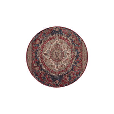 Machine Washable Brown Area Rug