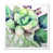 White Picture Framed Canvas