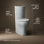 Toilette allongée deux pièces Persuade 1,6 GPF (siège non inclus)-36664617