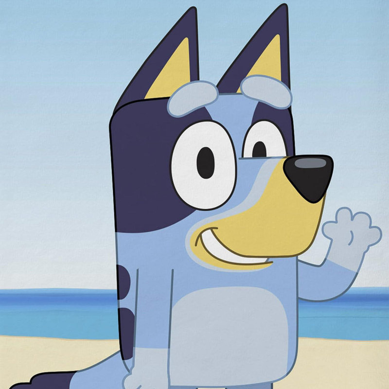 Parmelee 100% Cotton Beach Towel