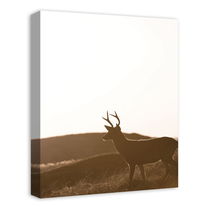 Morning Deer - imprimé, Toile tendue, H 20 po x l 16 po x P 1,25 po