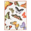 Metamorphosis Tea Towel